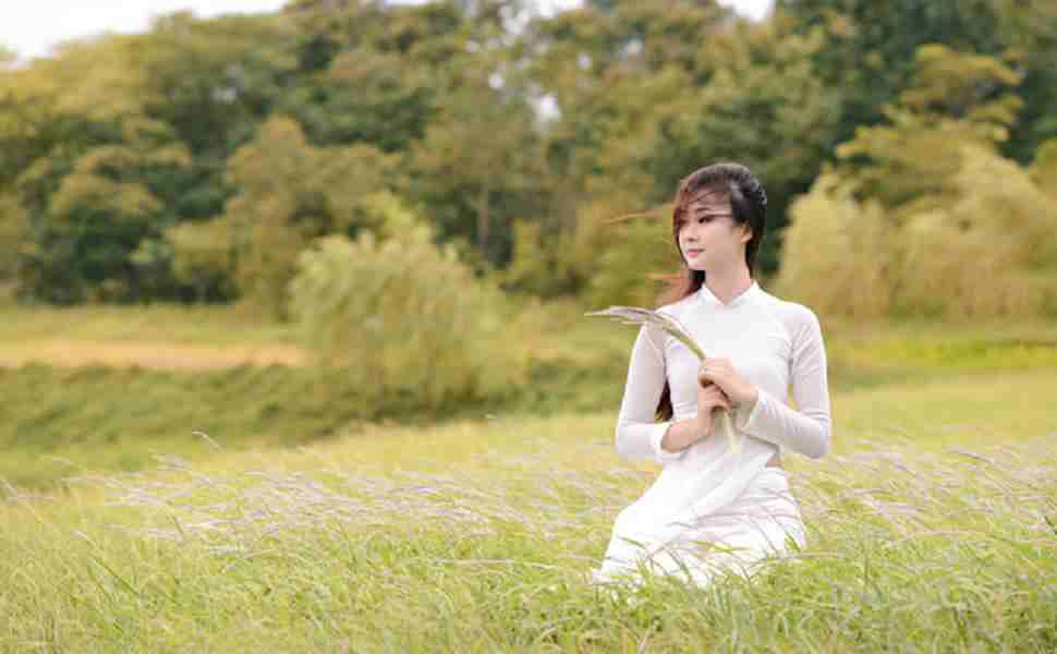 香港站群怎么優(yōu)化